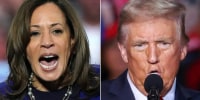Democrats ran a great campaign 'for 2004': Tim Miller on where Harris went wrong