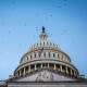 Capitol Hill dome.