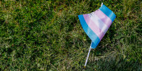 A transgender flag sits on the grass.