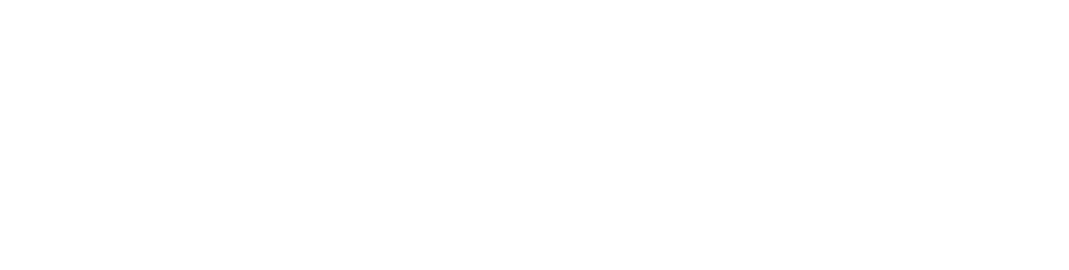 DECISION 2024 